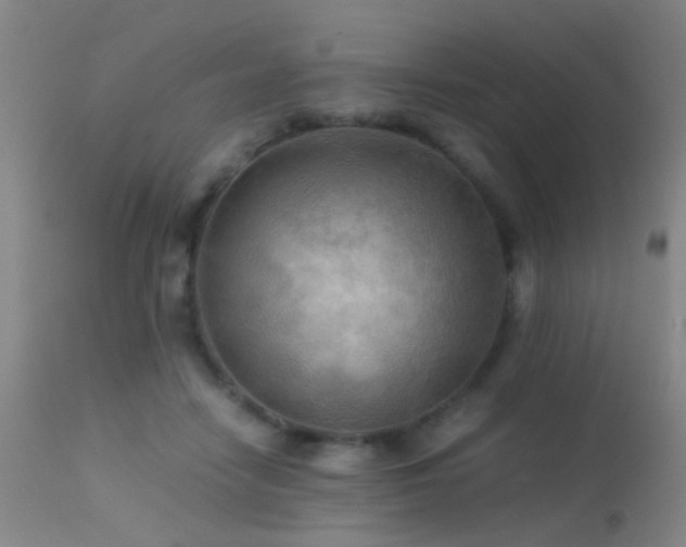 X0000113250458200909171629