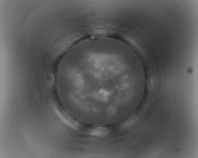 X0000113250459200909171629