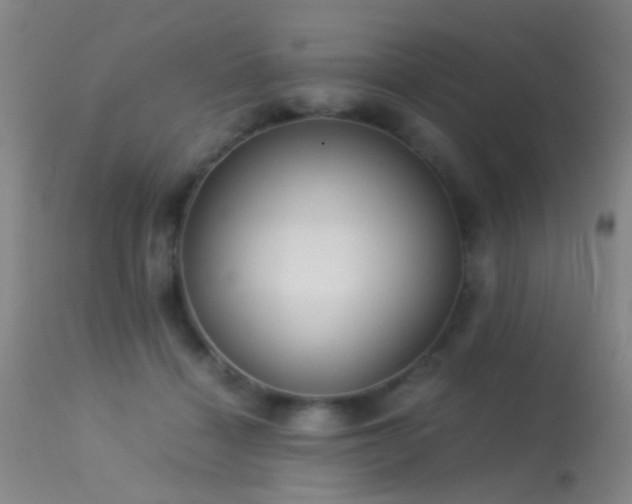 X0000113250460200909171629