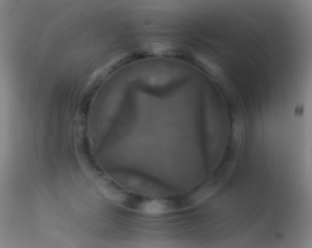 X0000113250461200909171629