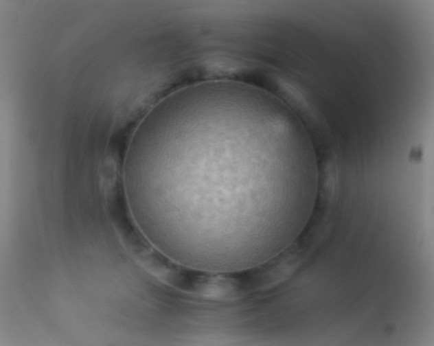 X0000113250463200909171629