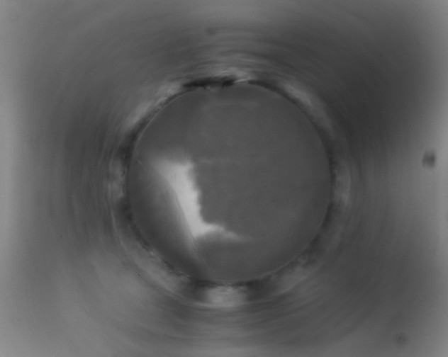 X0000113250465200909171630