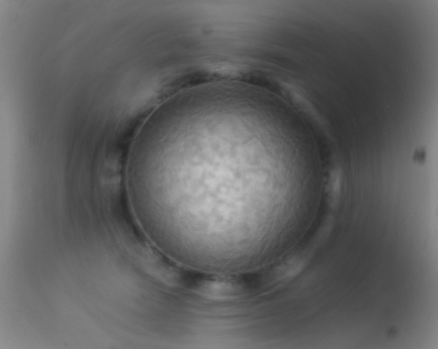 X0000113250466200909171630