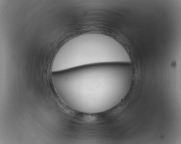 X0000113250469200909171630