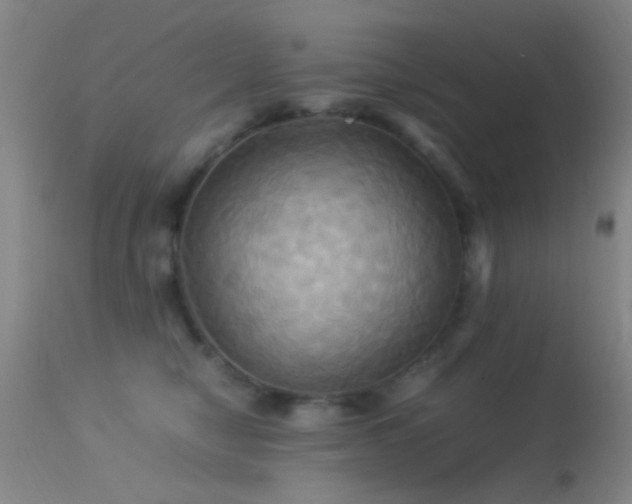 X0000113250470200909171630