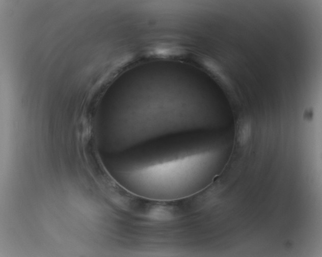 X0000113250471200909171630