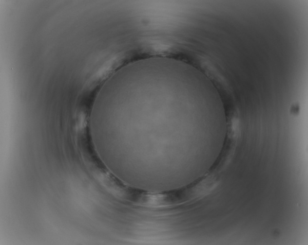 X0000113250472200909171630