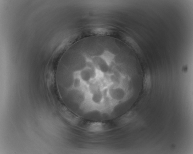 X0000113250473200909171630