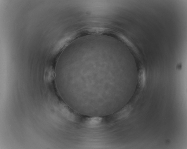 X0000113250474200909171630