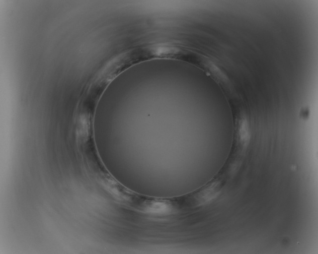 X0000113250475200909171630