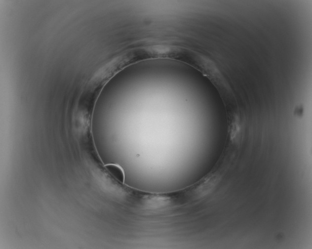 X0000113250476200909171630