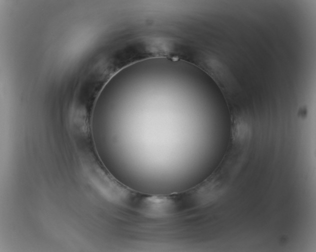 X0000113250477200909171630