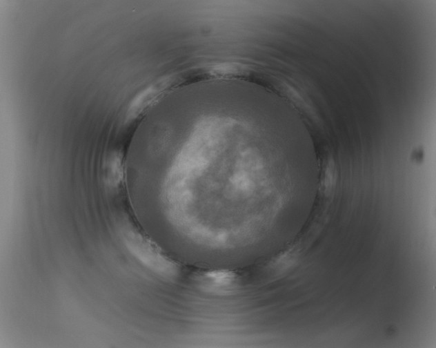 X0000113250478200909171630