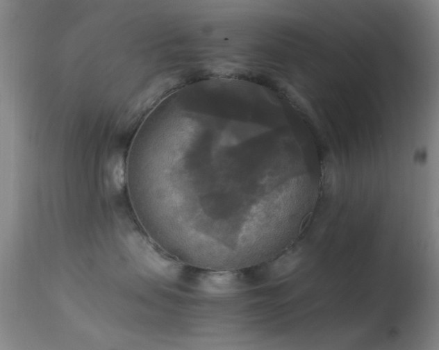 X0000113250479200909171630