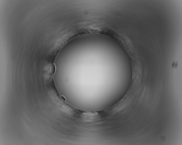 X0000113250480200909171630