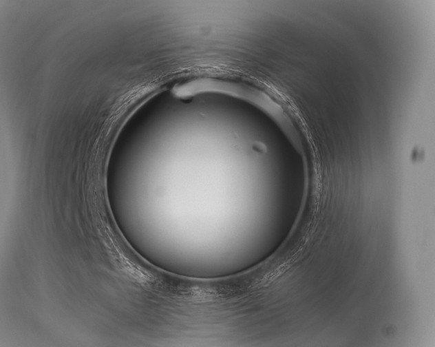 X0000113250481200909171629