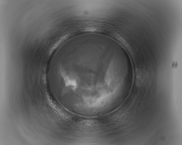 X0000113250482200909171629