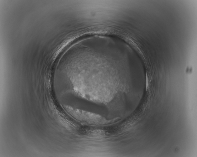 X0000113250483200909171629