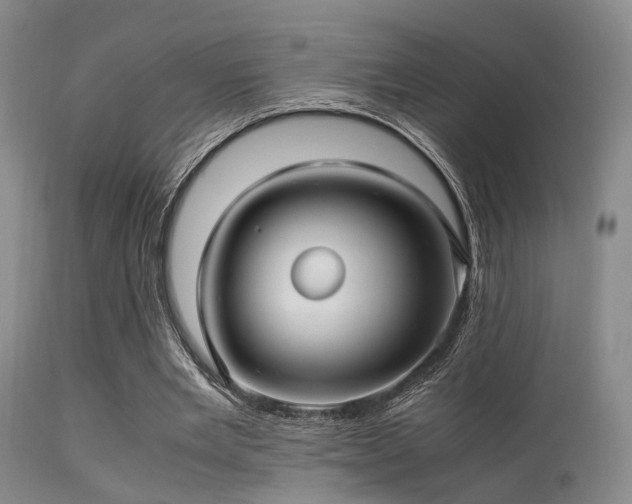 X0000113250485200909171629