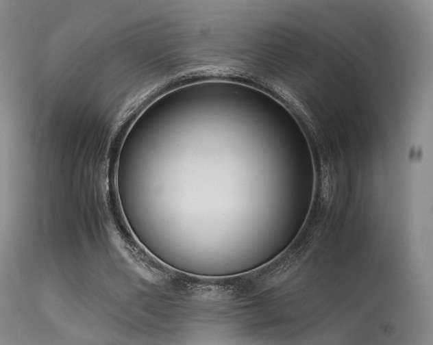 X0000113250486200909171629