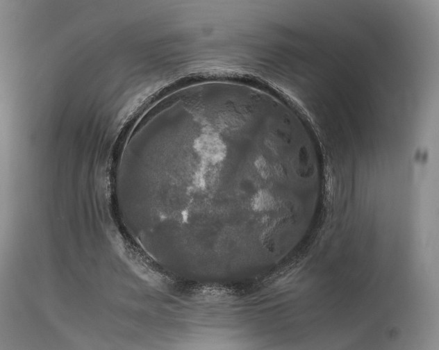 X0000113250487200909171629