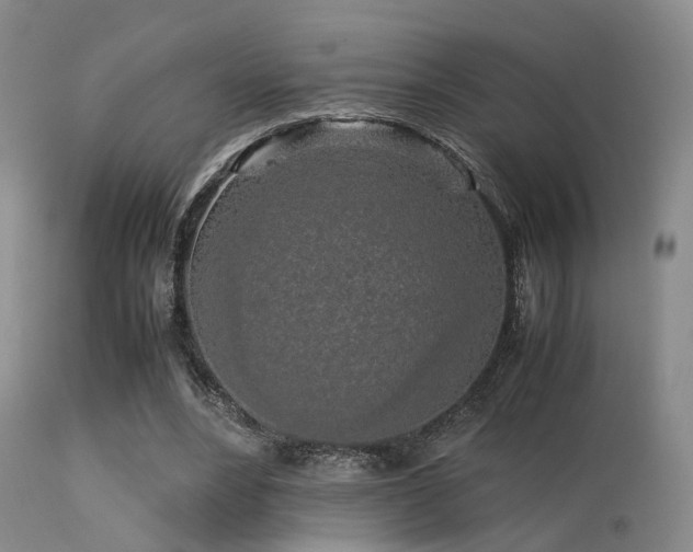 X0000113250488200909171629