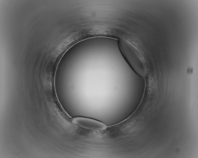 X0000113250489200909171629