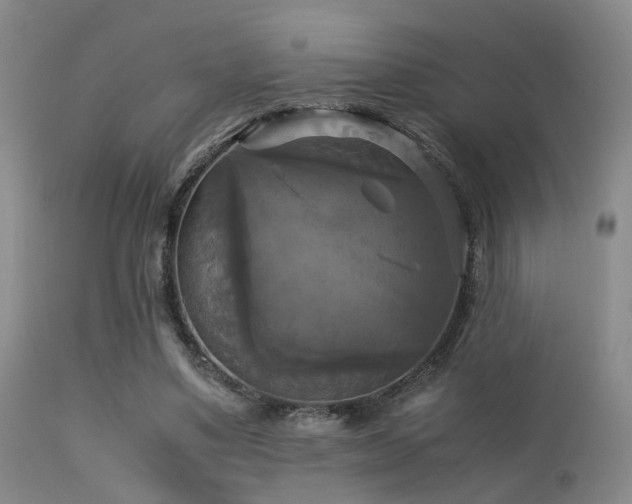 X0000113250491200909171629