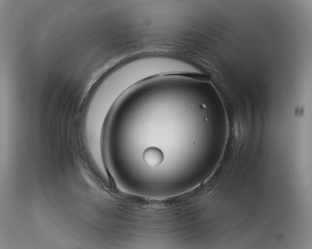 X0000113250492200909171629