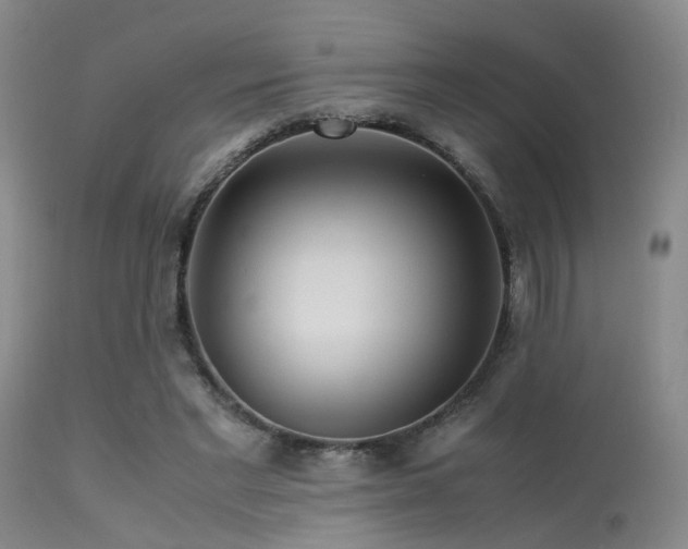 X0000113250493200909171629