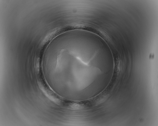 X0000113250494200909171629