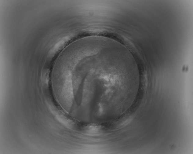 X0000113250495200909171629