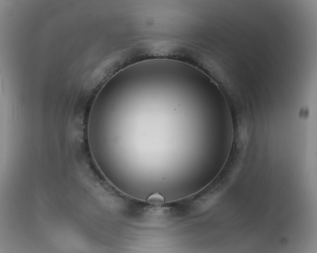 X0000113250497200909171629