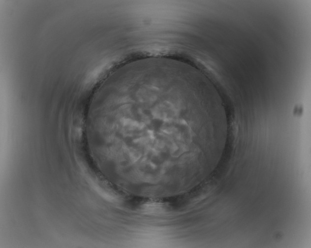 X0000113250499200909171629