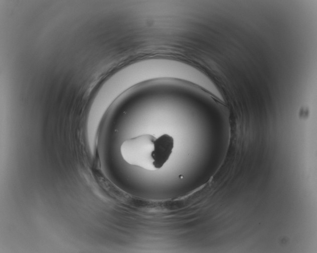 X0000113250500200909171629