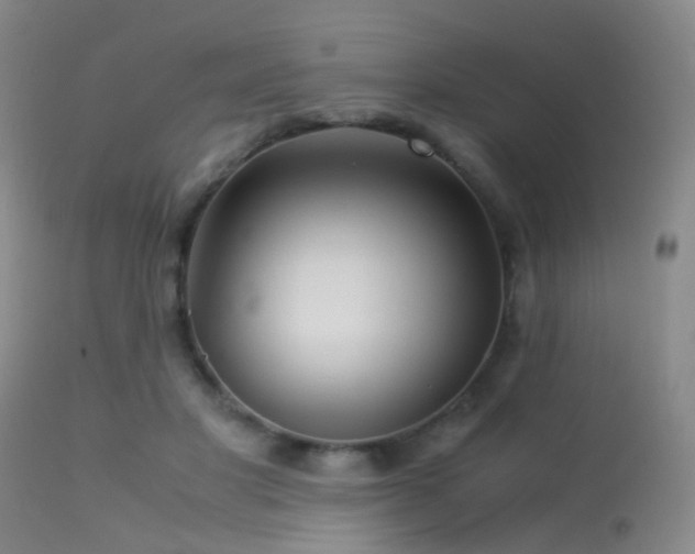 X0000113250501200909171629