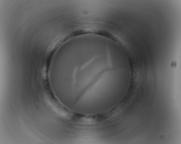 X0000113250502200909171629