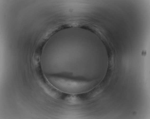 X0000113250503200909171629