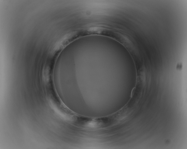 X0000113250504200909171629