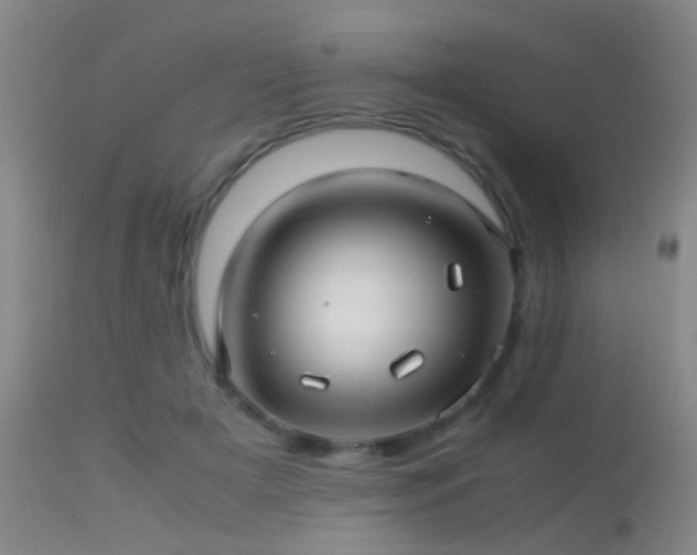 X0000113250505200909171629