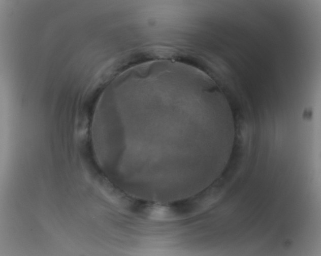 X0000113250507200909171629