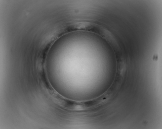 X0000113250510200909171628