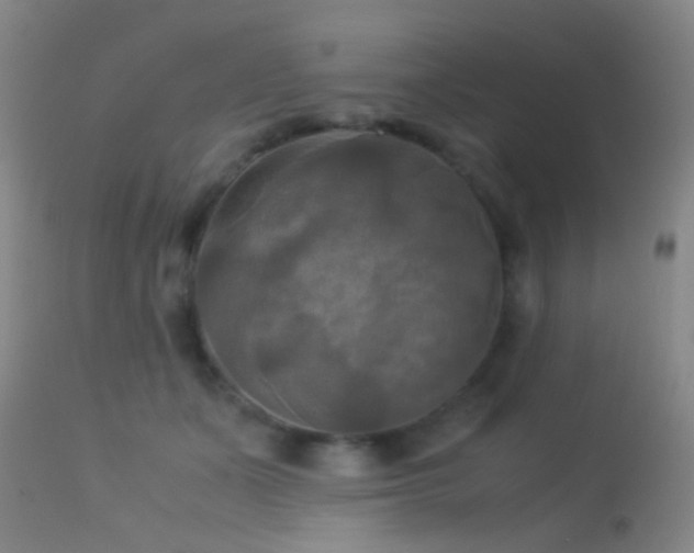 X0000113250511200909171628