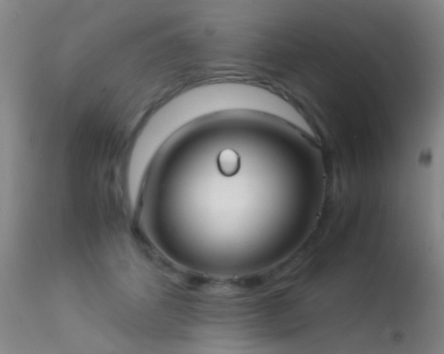 X0000113250512200909171628