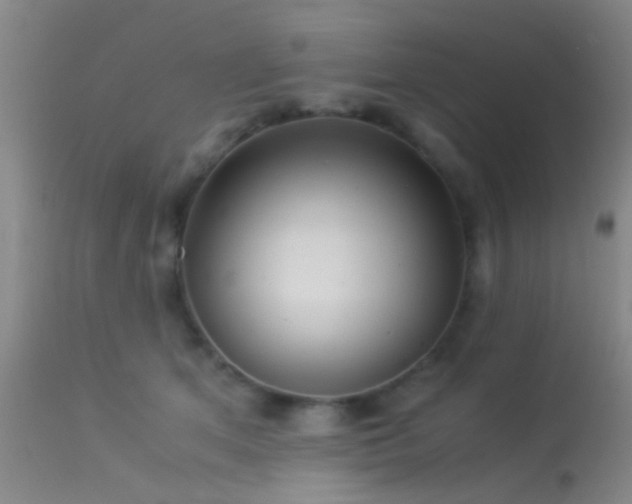 X0000113250513200909171628