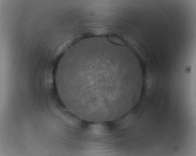 X0000113250516200909171628