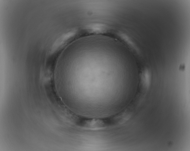 X0000113250517200909171628