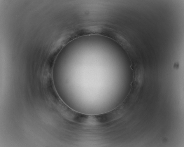 X0000113250518200909171628