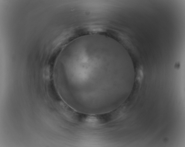 X0000113250519200909171628