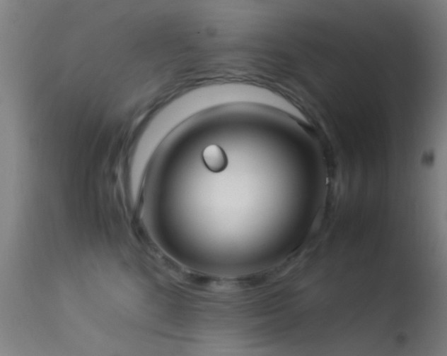 X0000113250520200909171628